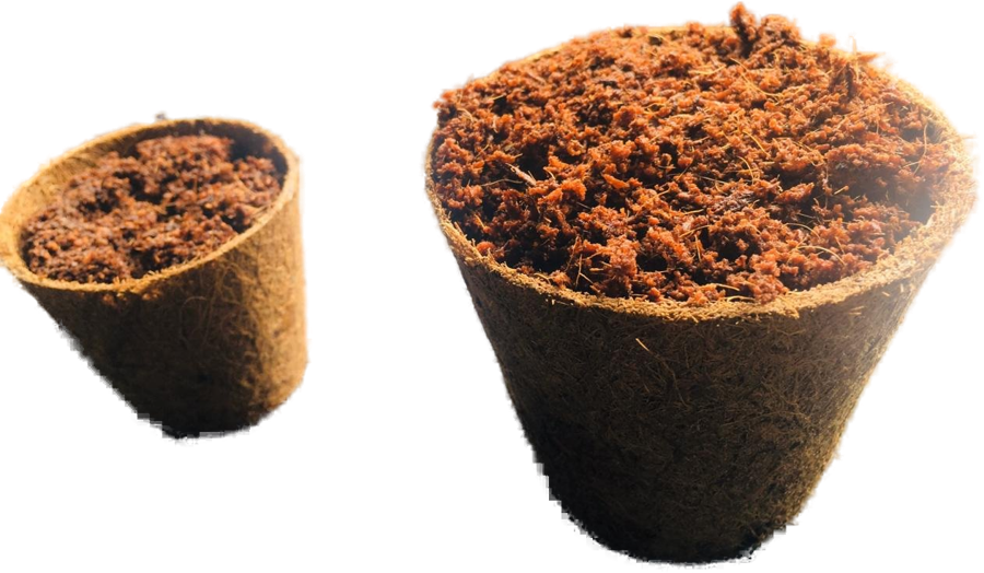 Cutout coir pots