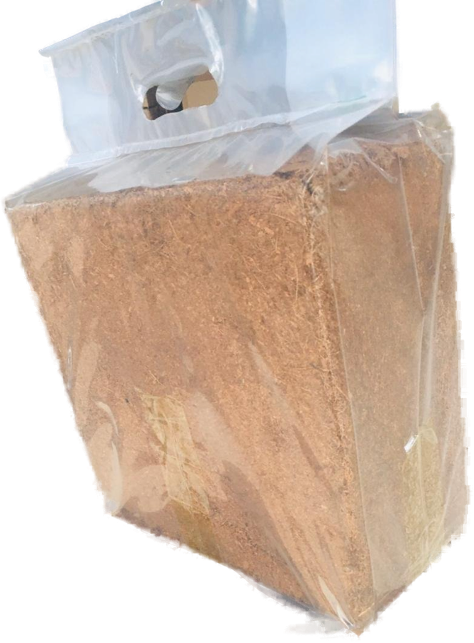 Cutout easy fill bag