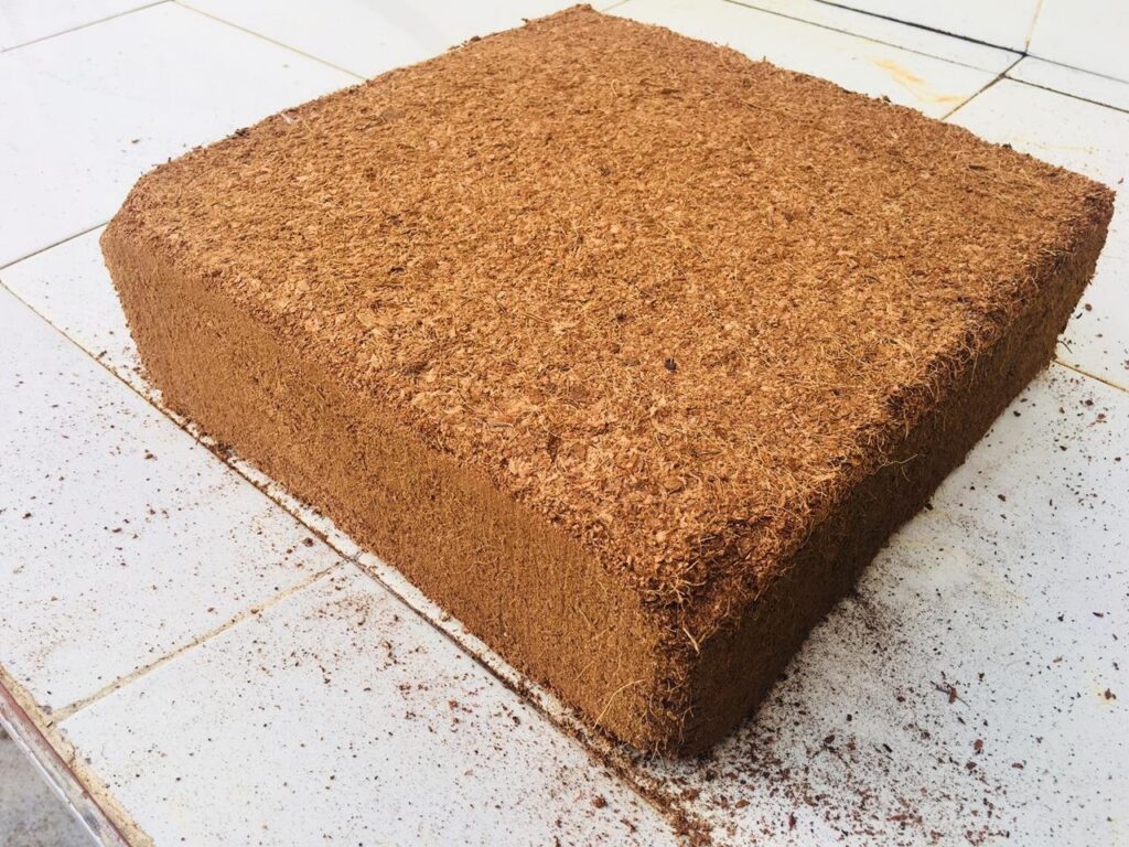 Product coco peat block