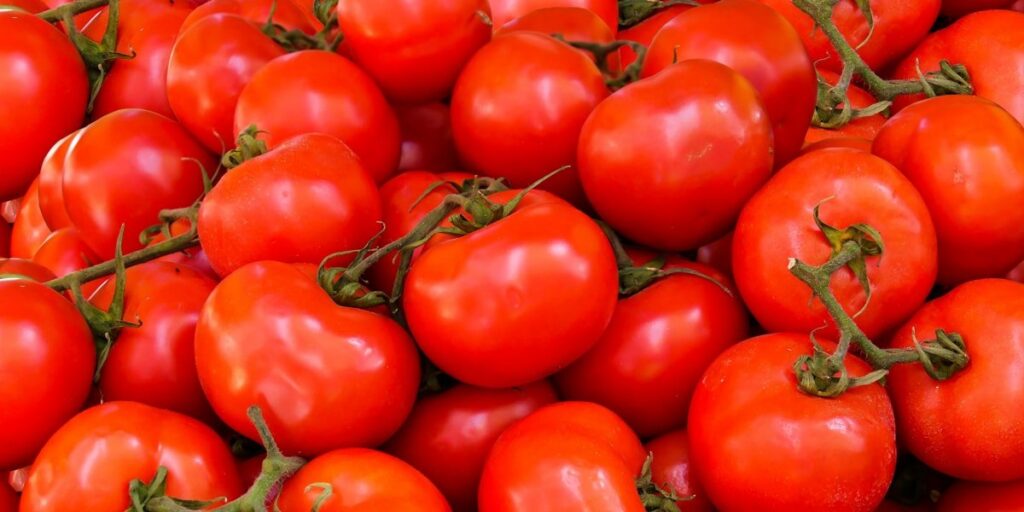 Solution vegetables