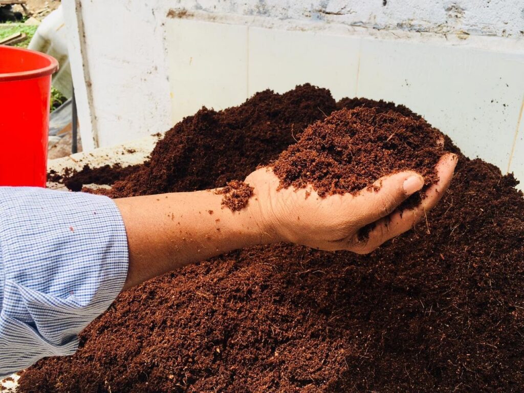 Sustainability hand coco peat
